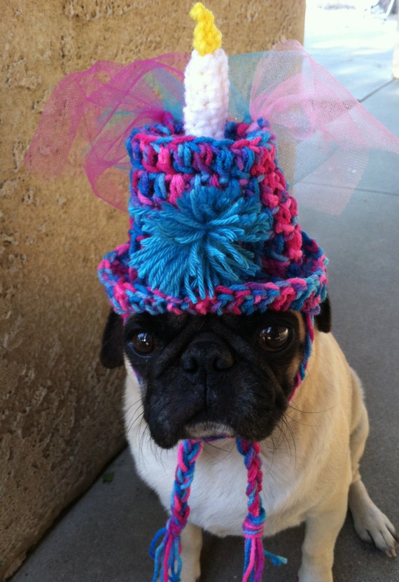 Items similar to Hats for PugsBirthdayBirthday HatHats For DogsDog