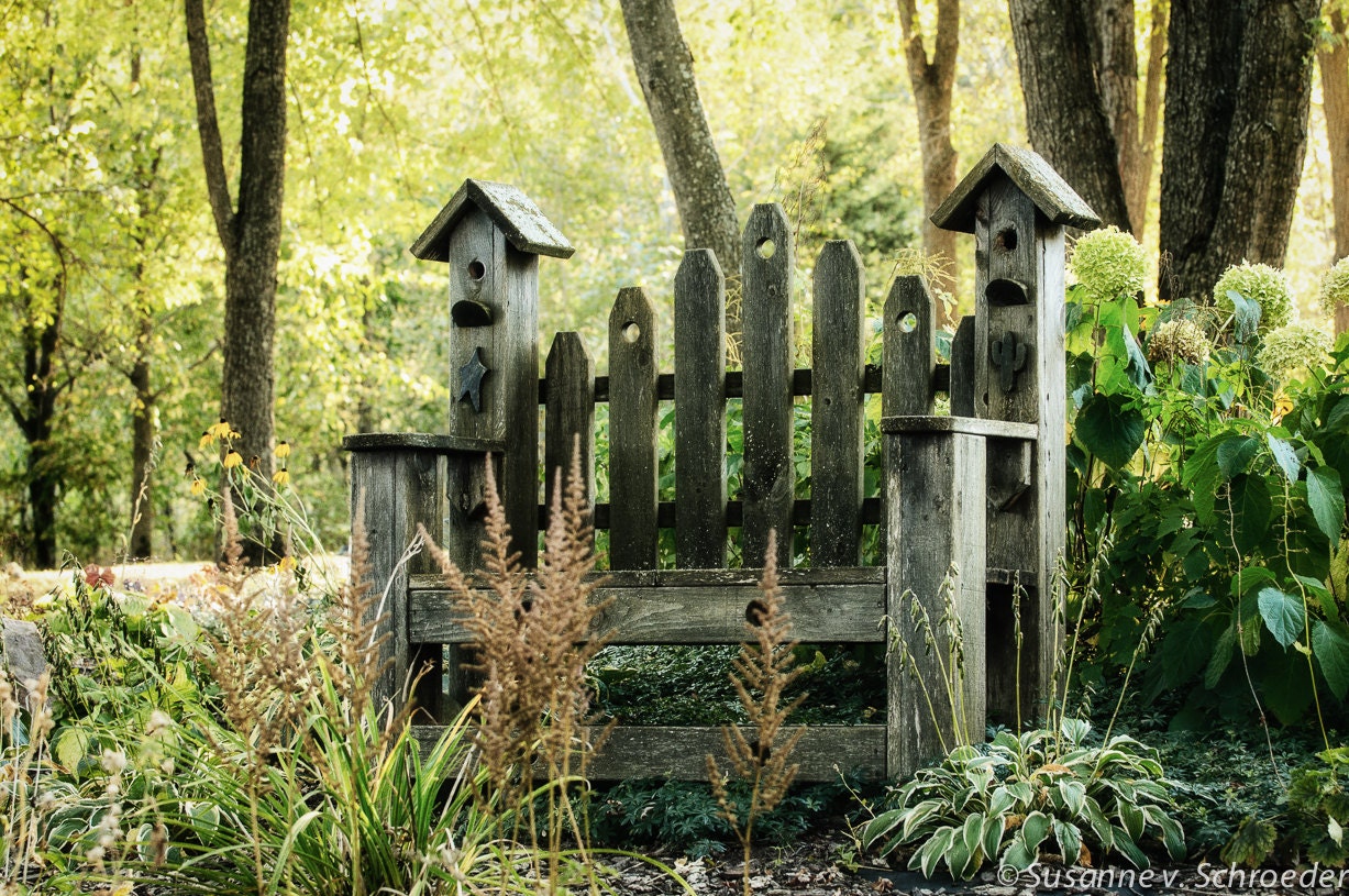 Naturalistiche panca da giardino rustico di soulcenteredphotoart