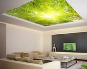 Ceiling STICKER MURAL leaves trees spring forest airly air decole poster 93x93"(236x236cm)