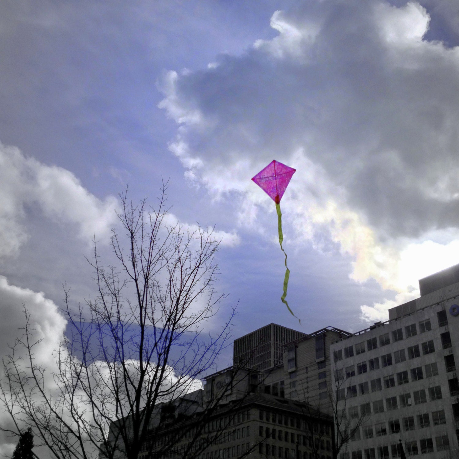 These are 3 paper and Bamboo Eddy kites. easy and by MicroKites