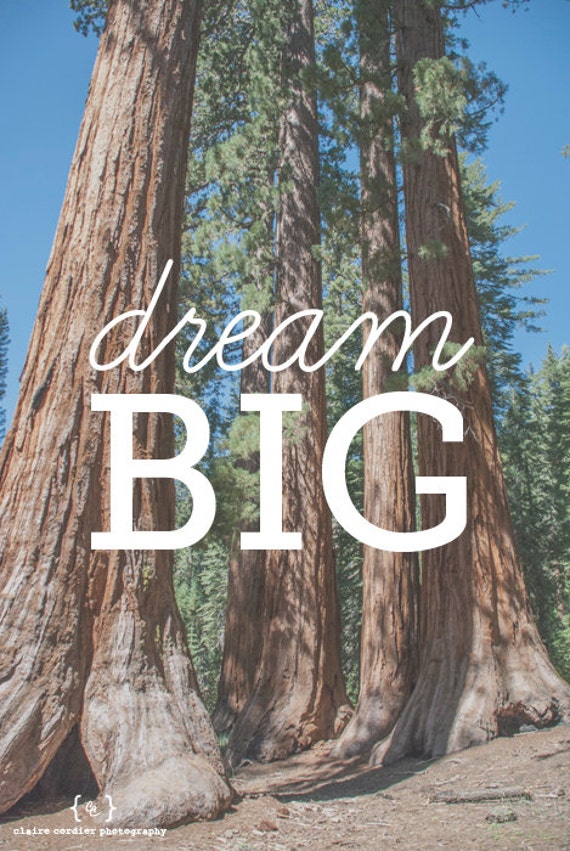 Dream Big quote on photo of trees