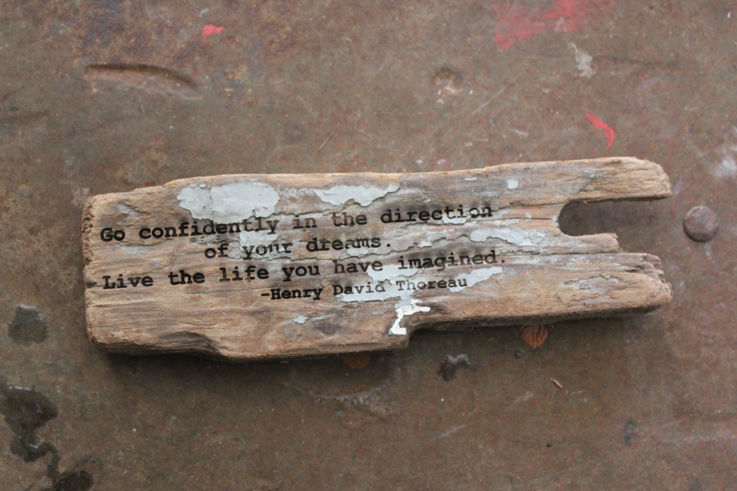 love big calligraphy driftwood thoreau henry quote david on