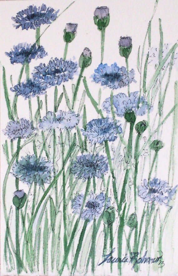 Garden Nature Art Watercolor Blue Flower Garden Nature Art Watercolor Blue Flower Scabiosis Original Painting Laurie Rohner