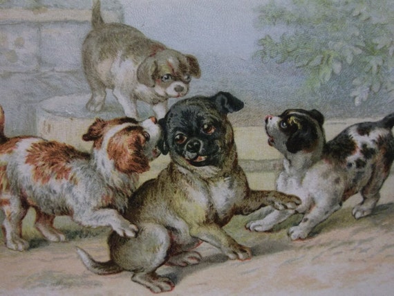 Pug Dog w/ Cute Puppies Victorian Reward of by debsatticfinds
