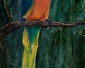 Parrot Watercolor Print by Deborah Olliff