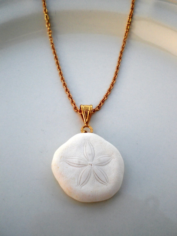Items similar to Mini White Sea Biscuit pendant gold chain necklace beach shell jewelry