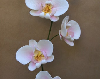 to sugar flowers how orchids make flo Flowers and Ivory Royal for Sugar Icing wers Cake Decorating