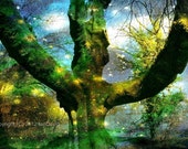 Magical Green Tree with Spirit Orbs Art Print, Mystical Woodland Tree Spirits Wall Decor, Ethereal Middle Earth Photography, Fantasy Art Magical Green Tree with Spirit Orbs Art Print, Mystical Woodland Tree Spirits Wall Decor, Ethereal Middle Earth Photography, Fantasy Art