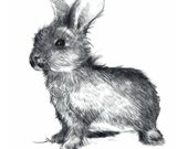 Instant Download. Happy Bunny. Rabbit Iron On Transfer Art. DIY Digital Art. Printable Art.