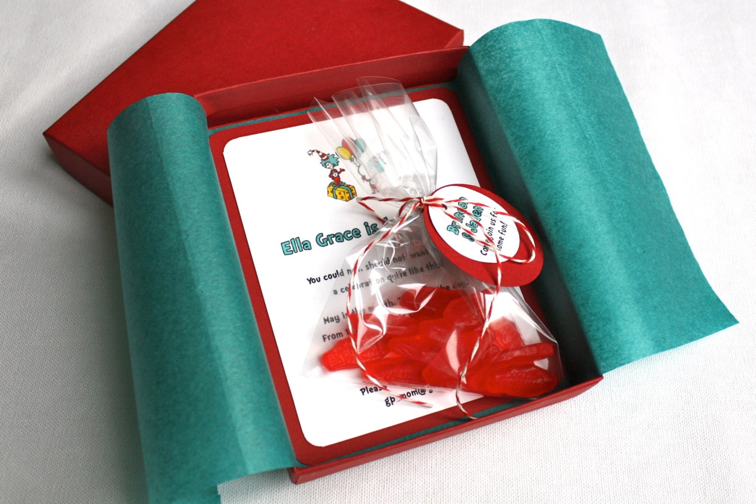 Dr. Seuss Birthday Party Invitation Box Mailer Personalized