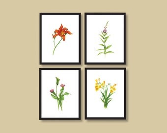 Botanical Print Set, Gift for Gardener, Naturalist Gift, Flower Print Set of Four, 6 x 8, 8 x 10 or 11 x 14