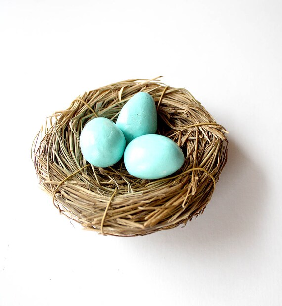 Bird's nest hair clip // Robins Egg birds nest by prettygoodthings