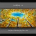 Gold Lemon Yellow Aspen tree Turquoise Sky art, Original large abstract gallery acrylic painting landscape painting by Tim Lam 48x24