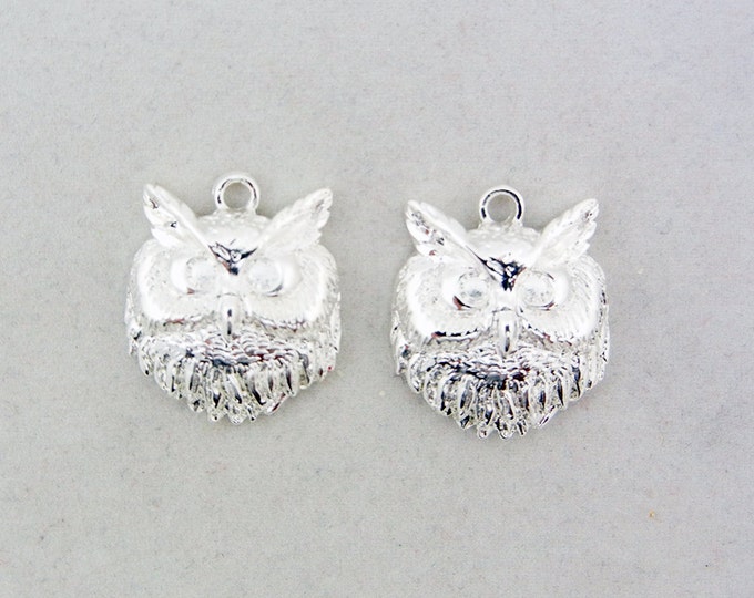 Pair of Silver-tone Owl Head Charms