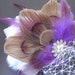 Peacock Feather Fascinator Clip and Attached Veil CHOCOLATE and PEARL with Purple Fall Bridal PIECE