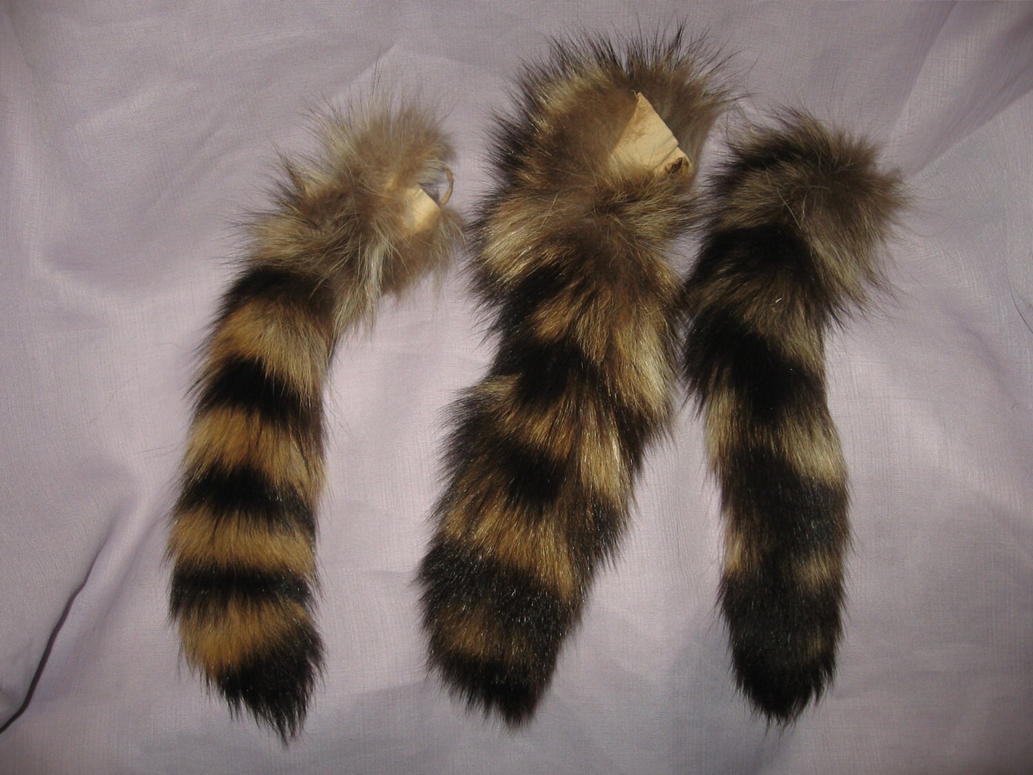 raccoon tail hair