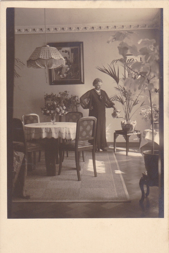 Watering the House Plants Home Interior 1920s Vintage