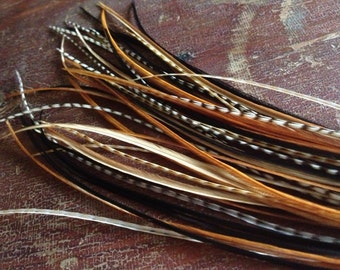 Sale Hair Feather Extensions Black, Brown, Natural Grizzly Mix MEDIUM Long Feather Hair Extensions 6 Bonded Real Feathers - 1 Bundle