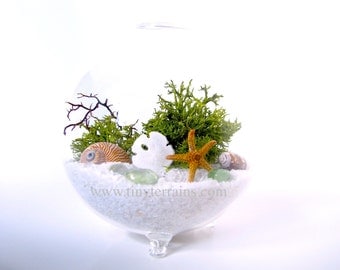 Modern Beach Globe Lichen Moss Terrarium, White, Natural, or Black Sand