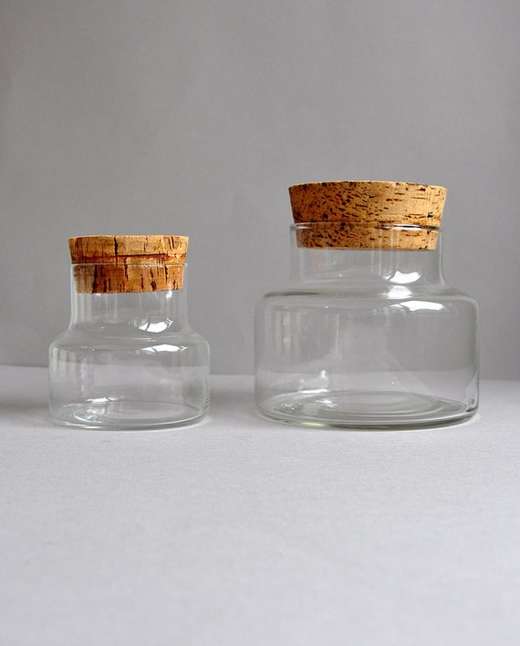 Large & Small Apothecary Glass Jars with Cork Stopper Set of