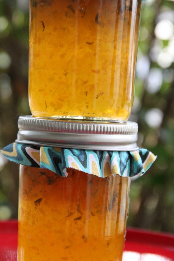 Homemade Apricot Pepper Jelly 8oz by grinningjupiter on Etsy
