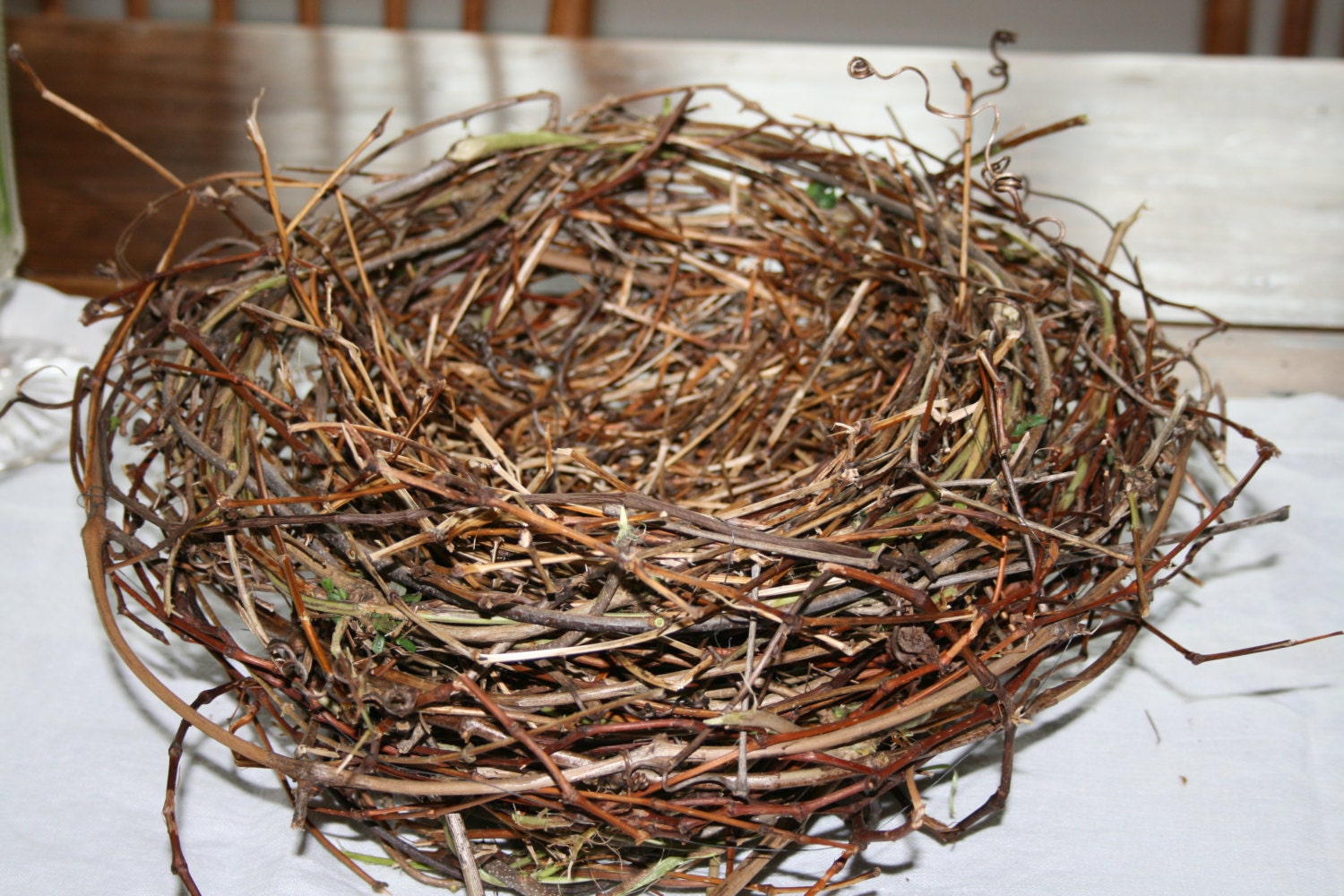 Large Bird Nest Centerpiece 13 Diameter by 6
