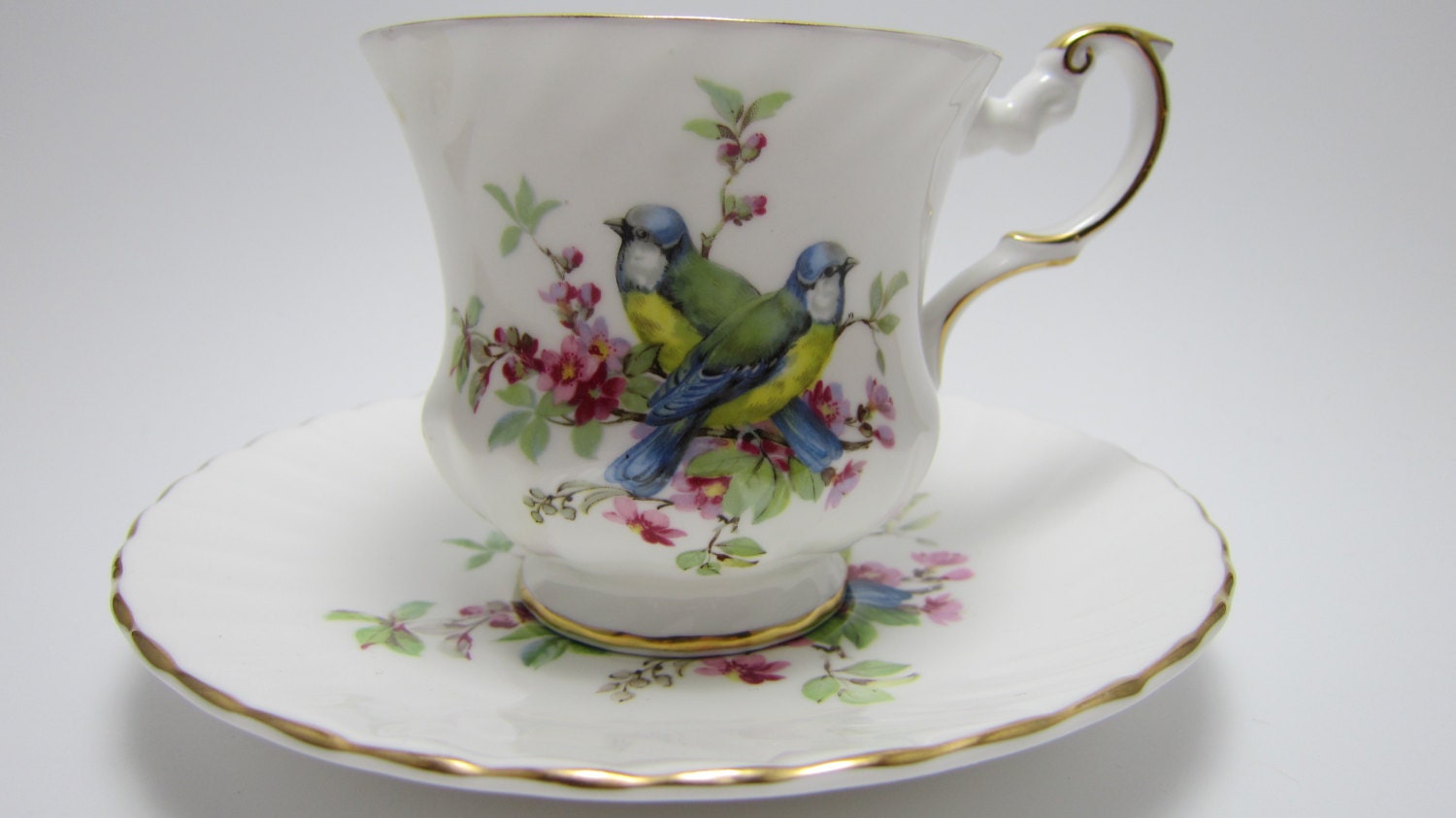 Rosina Fine Bone China 1875 Birds of America Blue Jay Cup and