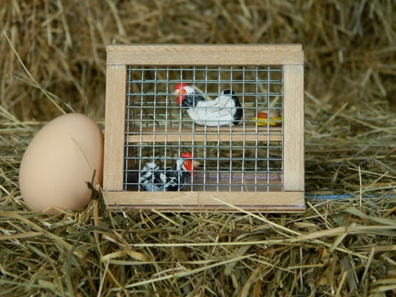 Indoor chicken coop 