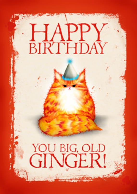 Birthday cat card: Happy Birthday You Big Old Ginger