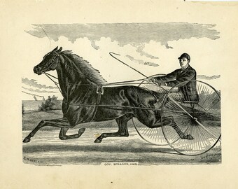 Antique wood engraving horse sulky and rider gov.sprague ca.1870