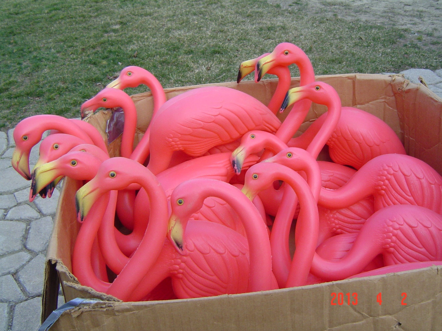 16 Lawn Pink Flamingos Don Featherstone Union Products