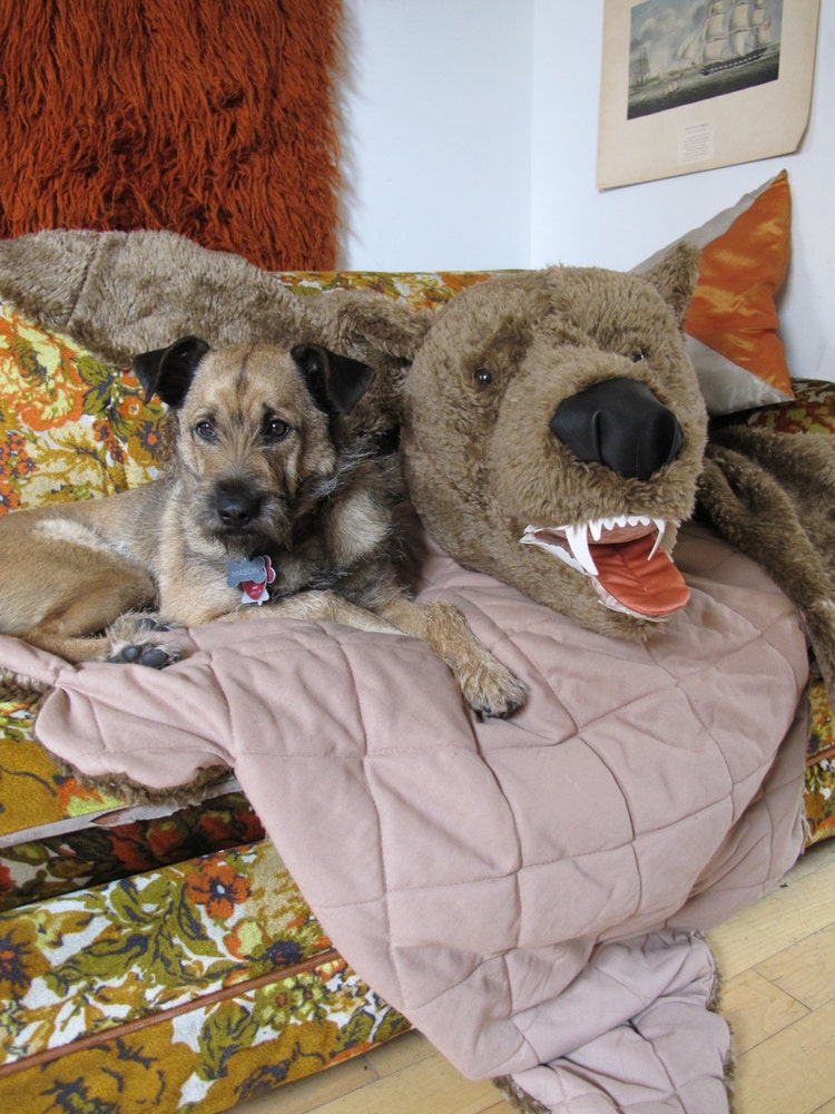 Faux Fur Grizzly Bear Pelt Blanket with Stuffed by gggreatwhite