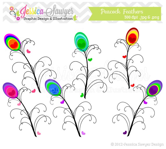 CLEARANCE - Peacock clip art - feather clipart - commercial use - card making - invitation clip art - digital scrap book INSTANT DOWNLOAD, Il_570xn