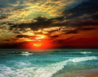 Photography Backdrop, Sunset Ocean Beach Scenic Photo Background 5x7 Ft. Ultralite Fabric-Not Vinyl SS179