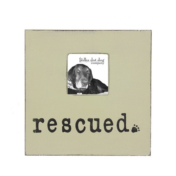 Items similar to rescue dog, dog picture frame, distressed picture