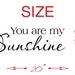 "You Are My Sunshine" Vinyl Wall Decal - Removable Quote Sticker For Nursery & Kids Room Decor
