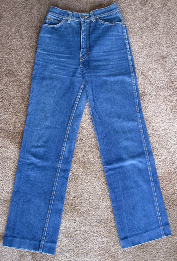 Willie Nelson Jeans Rare Vintage and Sassy 1970s/1980s