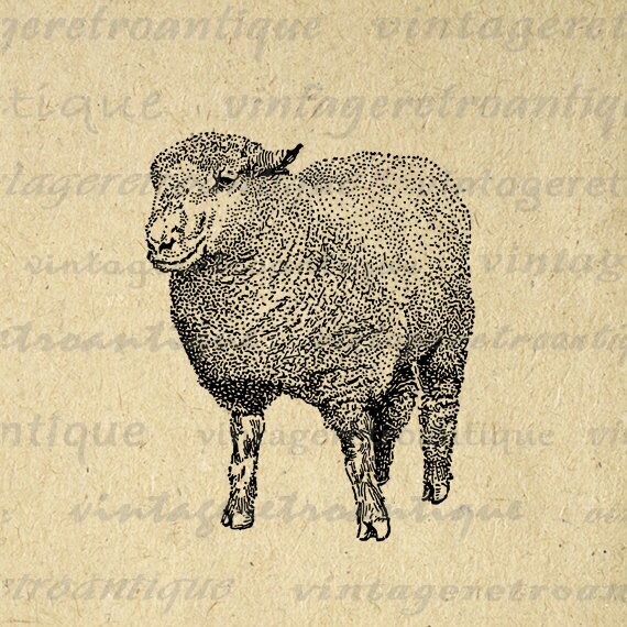 Printable Southdown Ram Sheep Graphic by VintageRetroAntique