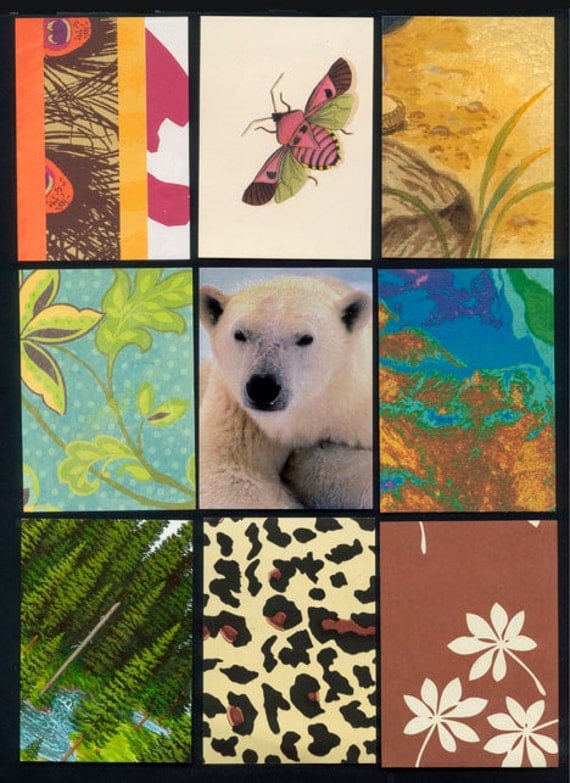 Nature Artist Trading Card Backgrounds Precut and Ready To