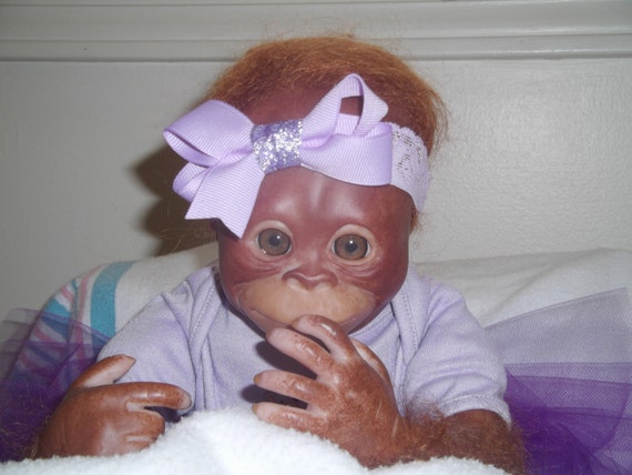 orangutan reborn