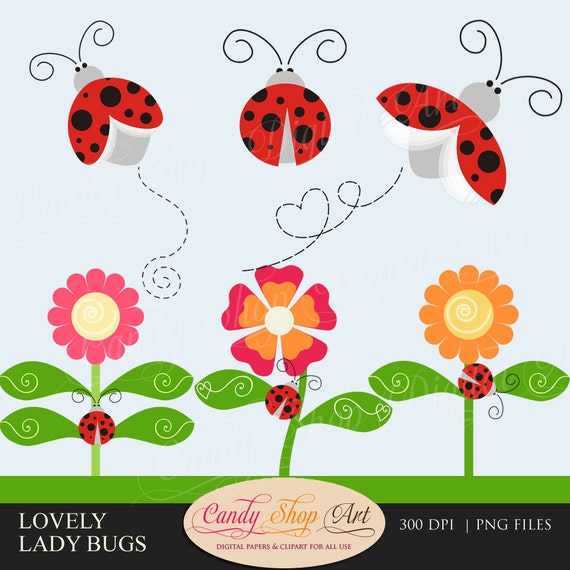 ladybug border clip art - photo #47