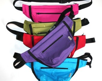 Dog Treat Training Pouch Bait Bag with French Spring Hinge