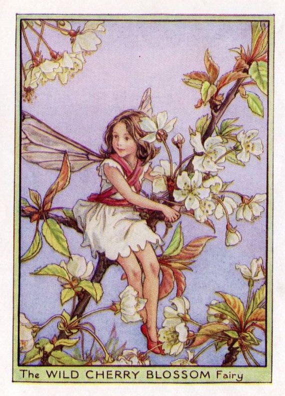 Items similar to Wild Cherry Blossom Flower Fairy Vintage Print, c.1950