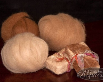 Alpaca Roving - Hand Spinners, Felting, Nuno, Crafts - beige, brown, fawn, blue, green, white