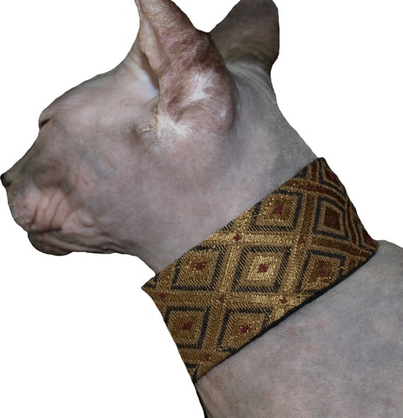 Cat Collar Sphynx Cat Collar Gold Collar With by HairlessWear