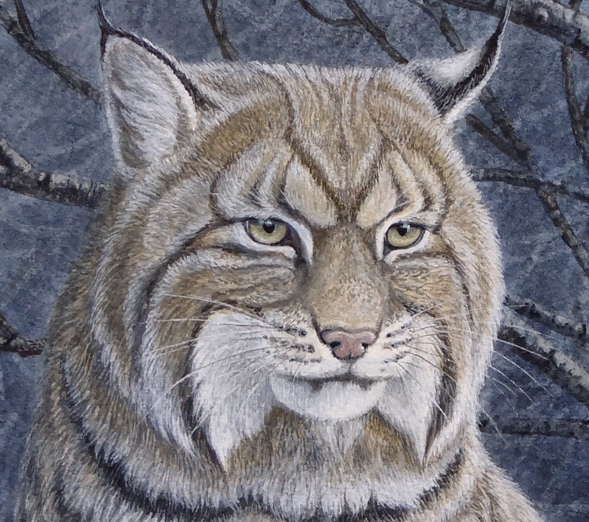 Bobcat Painting