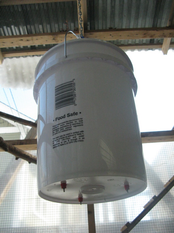 Hanging Bucket Nipple Waterer 5 gallon by UrbanChickenKeeper