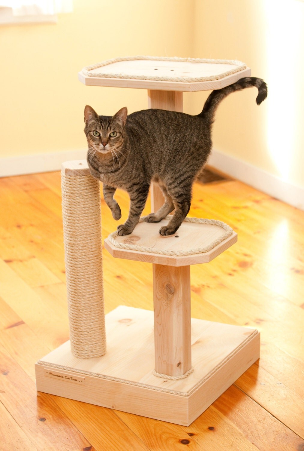 Natural Wood 36 Inch Two Level Cat Tree by MountainPetProducts