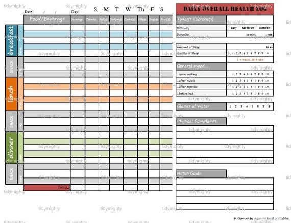 daily-overall-health-log-printable-pdf-instant-download