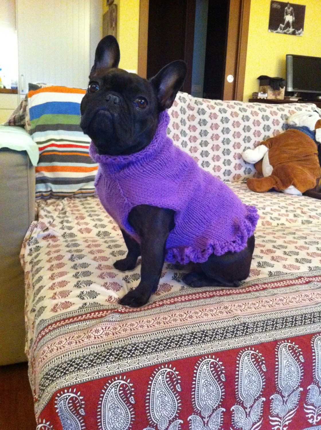 French Bulldog Knit Handmade Ruffled by EsmeraldasCrochet on Etsy